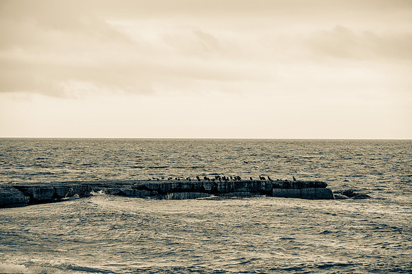 Old Fishing Pier north of Cheticamp