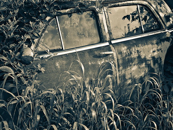 Jim Lawson