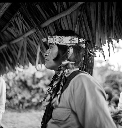 Chief Tariri