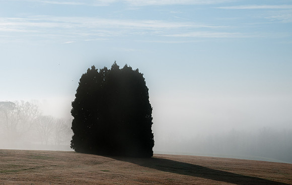 James Lawson
