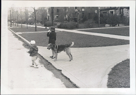 The Airedale was a great dog but it killed all the dogs in the neighborhood so I am told
