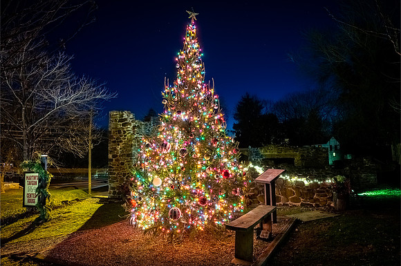 Christmas Tree 2020