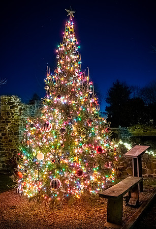 Christmas Tree 2020