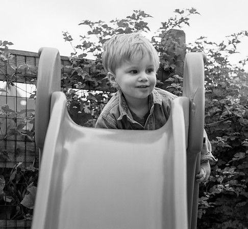 _DSC0029