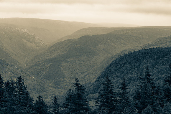 _DSC0532