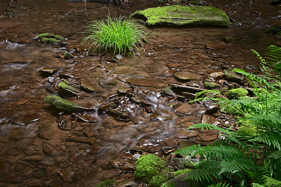_DSC7849
