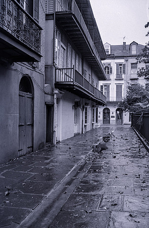 New Orleans, 1974